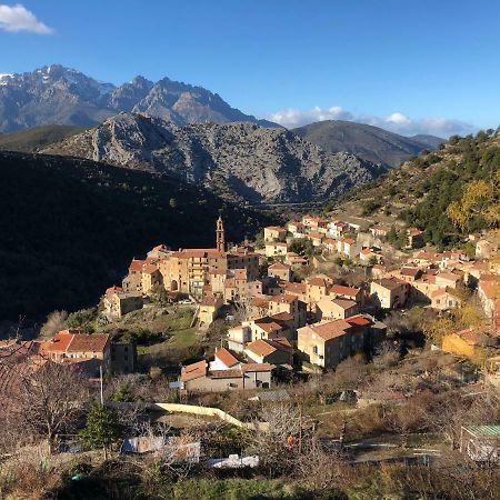Charmant F2 Dans Joli Village Corse Omessa 외부 사진