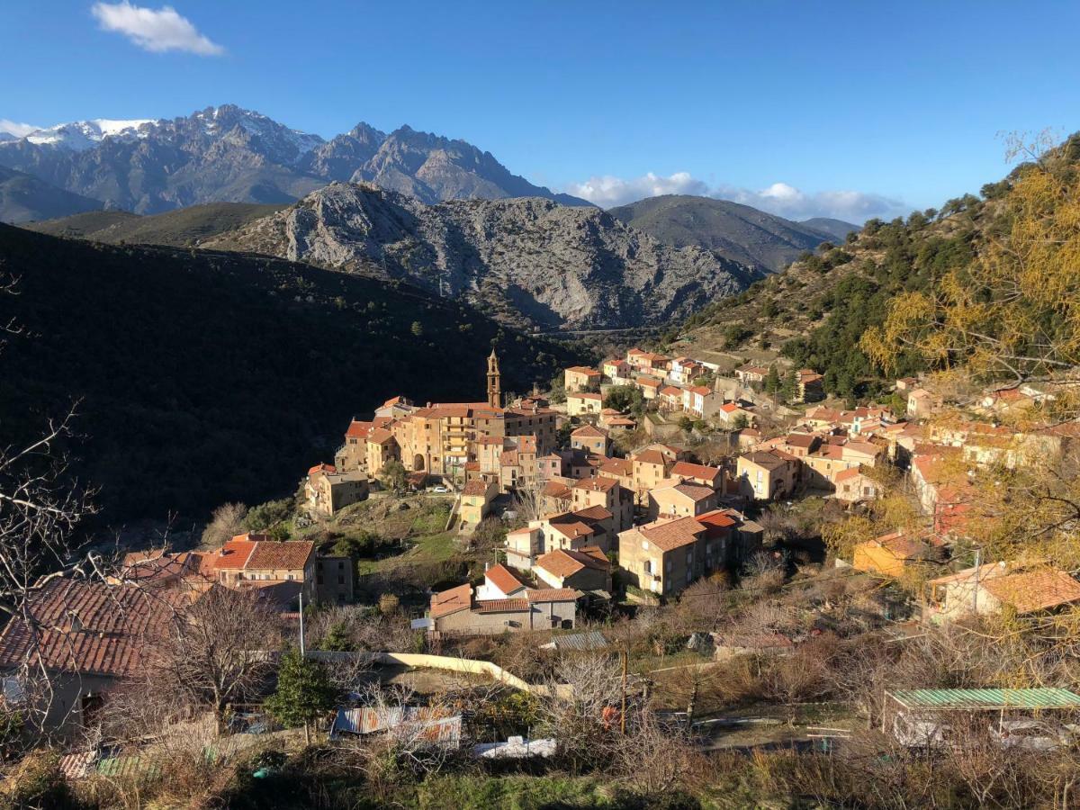 Charmant F2 Dans Joli Village Corse Omessa 외부 사진