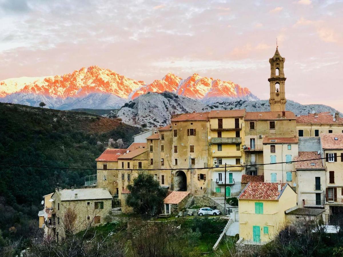 Charmant F2 Dans Joli Village Corse Omessa 외부 사진